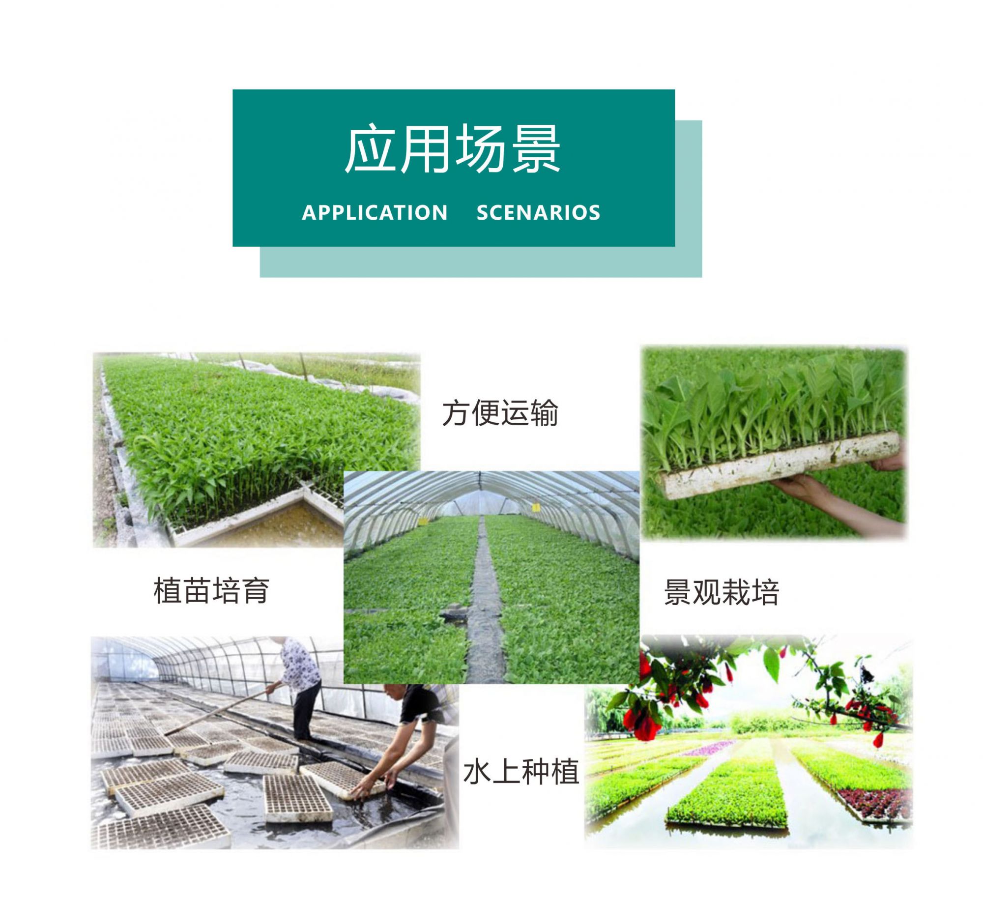 详情4